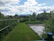 9.6.2019 palstalla kasvu kovassa käynnissä