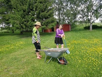 9.6.2019 nurmikon epätasaisuuksia paikkailtiin