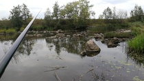Kuiva kesä, vesi matalalla..mahtaakohan saada ongella...