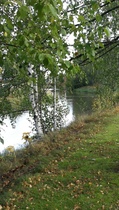 Punkalaitumen joki