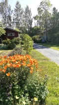 Kirsikkapolku